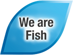 Unique Seafood - We Are Fish