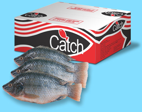 Catch Tilapia - Whole Gutted and Fillets - from Unique Seafood