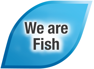 Unique Seafood - We are Fish
